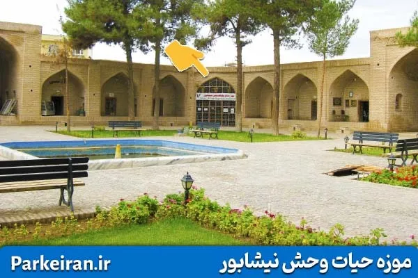 موزه حیات وحش نیشابور